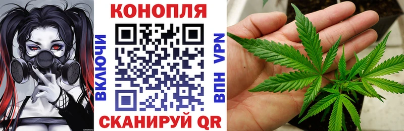 Конопля ГИДРОПОН  купить наркотики сайты  Борзя 